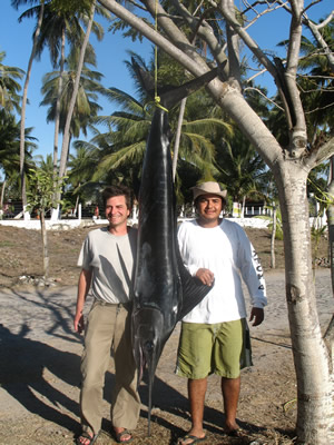 pascal, choco and the marlin